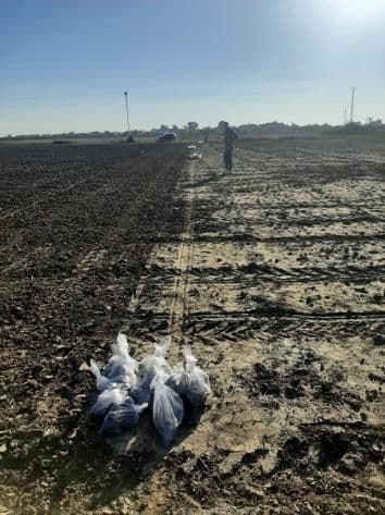 Saci cu probe de sol în câmp.