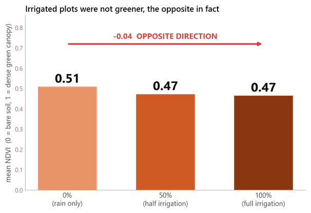 Balkendiagramm: Der mittlere NDVI ist bei 0 %, 50 % und 100 % Bewässerung nahezu gleich.