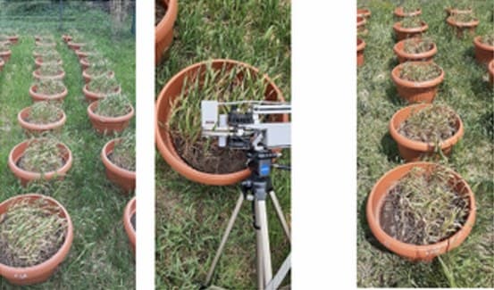 Measuring a pot's plants with instruments on a tripod; pots after watering.
