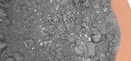 Close-up of freshly sown, fertilized soil in a pot.